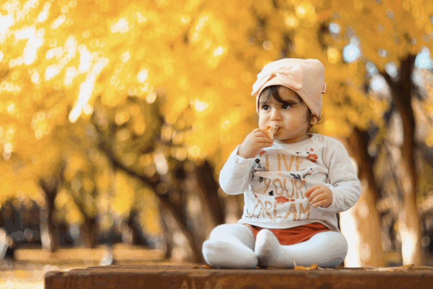 Find the Perfect Lightweight Stroller for Fall Adventures